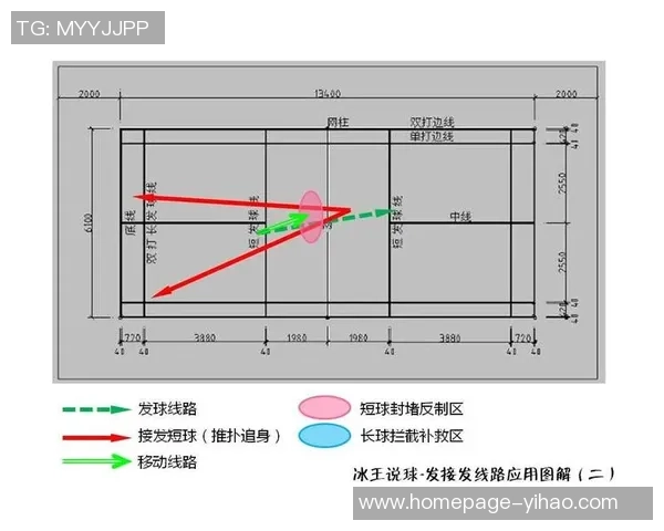 南京羽毛球队的战术控制与发展趋势深度解析